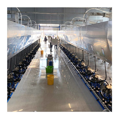 ชนิดปล่อยอย่างรวดเร็ว ISO9001 Abreast Milking Parlour พร้อมระบบวัดแสงแบบอิเล็กทรอนิกส์