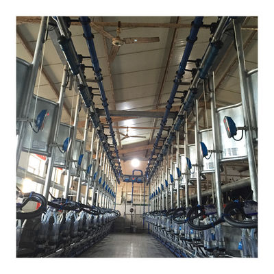 ทำงานสูญญากาศ 50KPa 2.2kw Herringbone เครื่องรีดนมสำหรับฟาร์มโคนม