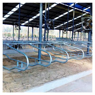 ขนาดที่กำหนดเองฟรี Stall Barn
