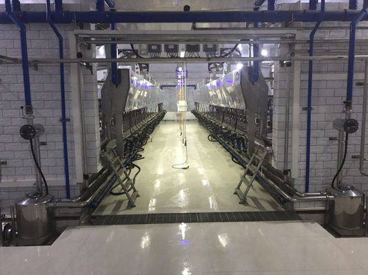 Electronic Metrology Herringbone Milking Parlour เครื่องวัวอัตโนมัติ