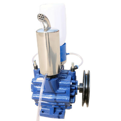 1400Rpm 1.1Kw ปั๊มสุญญากาศใบพัดหมุนรุ่นกะทัดรัด