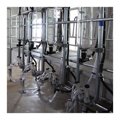 Parallel Lines 20T / H Herringbone Milking Parlour เครื่องรีดนมอัตโนมัติ