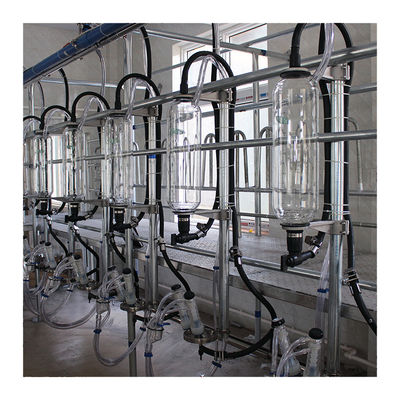 Parallel Lines 20T / H Herringbone Milking Parlour เครื่องรีดนมอัตโนมัติ