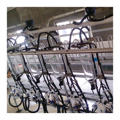 Parallel Lines 20T / H Herringbone Milking Parlour เครื่องรีดนมอัตโนมัติ