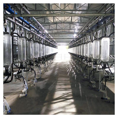 380v 7.5kw Herringbone Milking Parlour สำหรับฟาร์มแพะ