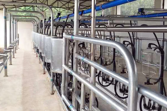 ก้างปลาชนิด 5T / h 20 ยูนิตห้องรีดนมเสียงรบกวนต่ำห้องรีดนมอัตโนมัติ