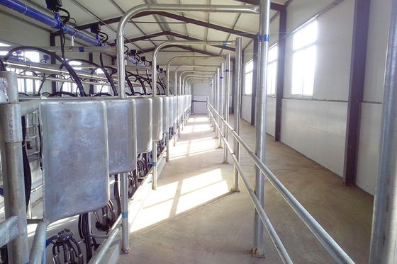 ก้างปลาชนิด 5T / h 20 ยูนิตห้องรีดนมเสียงรบกวนต่ำห้องรีดนมอัตโนมัติ