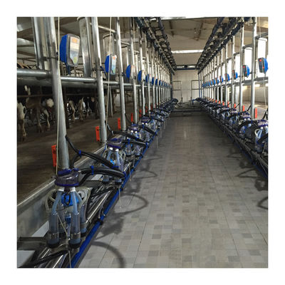 ทำงานสูญญากาศ 50KPa 2.2kw Herringbone เครื่องรีดนมสำหรับฟาร์มโคนม