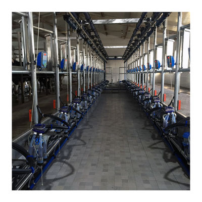 ทำงานสูญญากาศ 50KPa 2.2kw Herringbone เครื่องรีดนมสำหรับฟาร์มโคนม