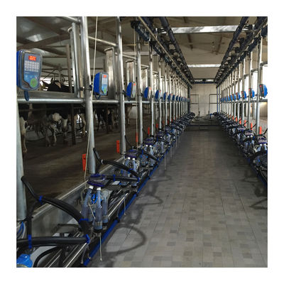 ทำงานสูญญากาศ 50KPa 2.2kw Herringbone เครื่องรีดนมสำหรับฟาร์มโคนม