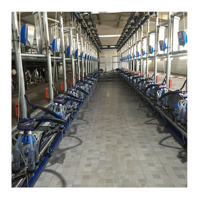 ทำงานสูญญากาศ 50KPa 2.2kw Herringbone เครื่องรีดนมสำหรับฟาร์มโคนม