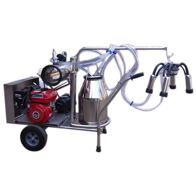 เครื่องรีดนมอัตโนมัติ 24cows / H SS304 อุปกรณ์รีดนมแกะ