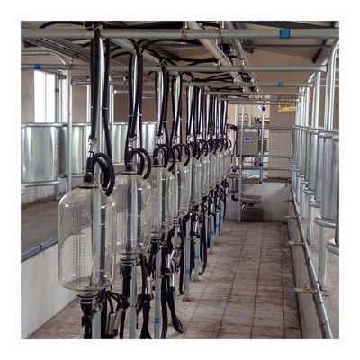 Dairy Farm 4KW Herringbone Milking Parlour พร้อมแก้วเกรดอาหาร