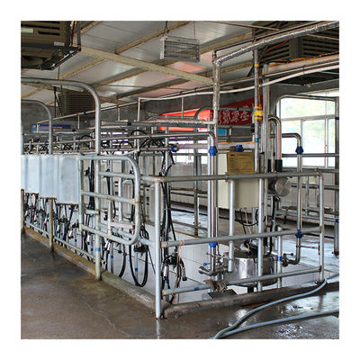 Dairy Farm 4KW Herringbone Milking Parlour พร้อมแก้วเกรดอาหาร