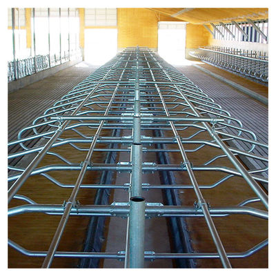 Hot Galvanized Free Stall Barn ISO9001 แผงลอยฟรี