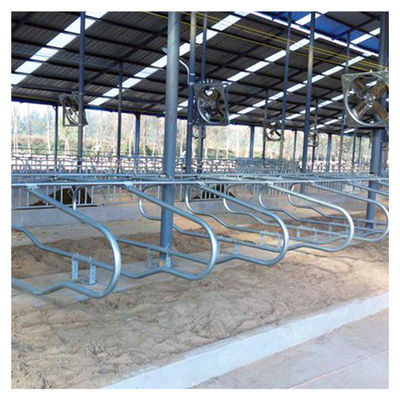 Hot Galvanized Free Stall Barn ISO9001 แผงลอยฟรี