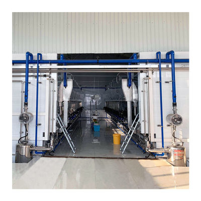 ก้างปลาขนาดใหญ่ไฟฟ้า  Dairy ห้องรีดนมอัตโนมัติสำหรับวัว