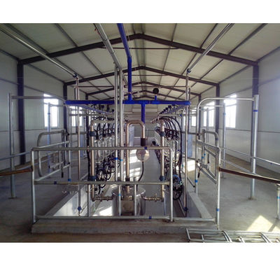 อุปกรณ์ฟาร์มโคนมอัตโนมัติ Herringbone Milking Parlour Plant Goat Cow Machine