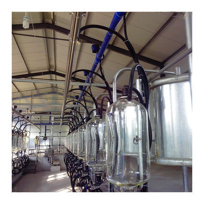 อุปกรณ์ฟาร์มโคนมอัตโนมัติ Herringbone Milking Parlour Plant Goat Cow Machine