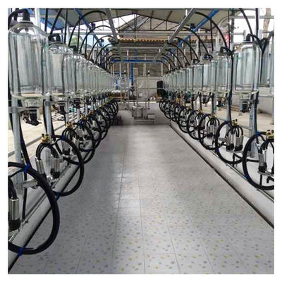 Dairy Farm Goat Cow Herringbone Milking Parlour Glass Bottle Metering System