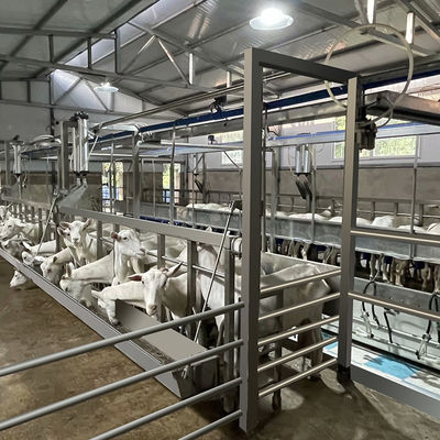 Farms Dairy อุปกรณ์รีดนมที่ให้ผลผลิตสูงอุปกรณ์รีดนมแพะแบบยืดหยุ่น
