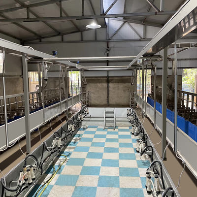 ดิจิตอลมิเตอร์ไฟฟ้า Sheep Goat Milking Parlour อุปกรณ์สภาพใหม่