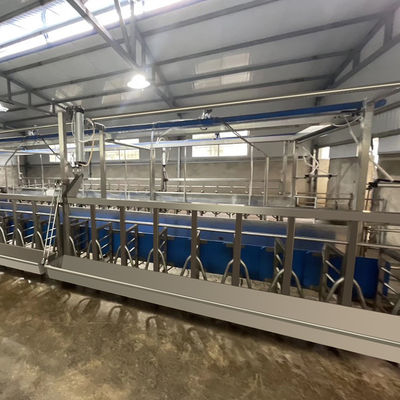 ดิจิตอลมิเตอร์ไฟฟ้า Sheep Goat Milking Parlour อุปกรณ์สภาพใหม่