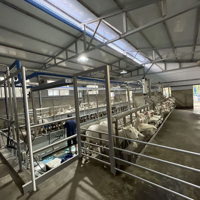 ดิจิตอลมิเตอร์ไฟฟ้า Sheep Goat Milking Parlour อุปกรณ์สภาพใหม่