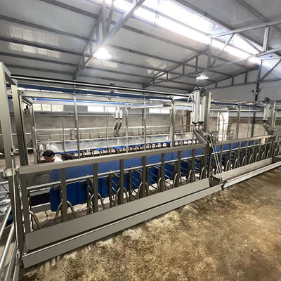 ดิจิตอลมิเตอร์ไฟฟ้า Sheep Goat Milking Parlour อุปกรณ์สภาพใหม่