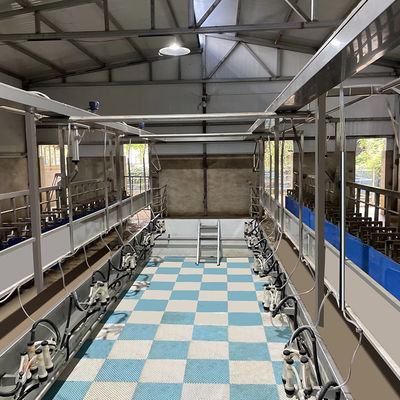 SUS304 Goat Herringbone Milking Parlour Feeding Trough ประเภทท่อทางออกด่วน