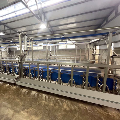 SUS304 Goat Herringbone Milking Parlour Feeding Trough ประเภทท่อทางออกด่วน
