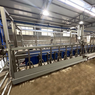 SUS304 Goat Herringbone Milking Parlour Feeding Trough ประเภทท่อทางออกด่วน
