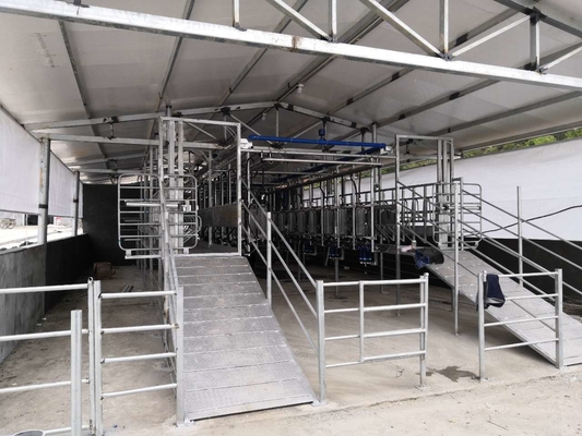 ปรับแต่ง SUS304 Goat Herringbone Milking Parlour