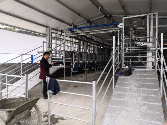 ปรับแต่ง SUS304 Goat Herringbone Milking Parlour
